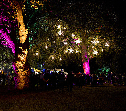 Leuchtende Herrnhuter Sterne erhellen einen Baum.