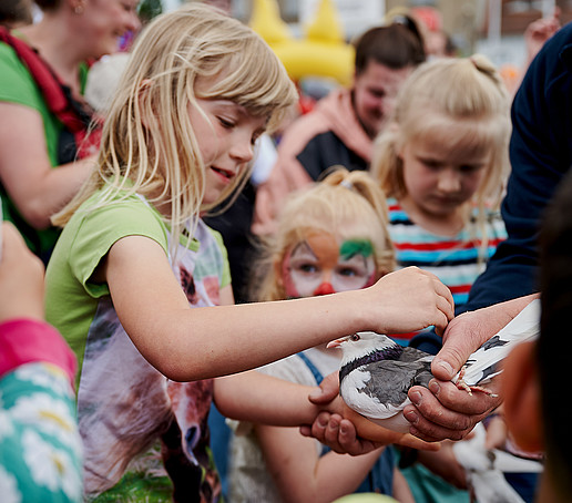 Ein Kind streichelt eine Taube beim Friedensfest.