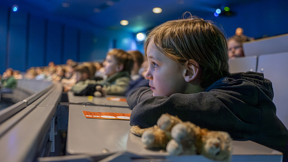 Schüler sitzen auf Sitzbänken im Audimax und lauschen der Veranstaltung.