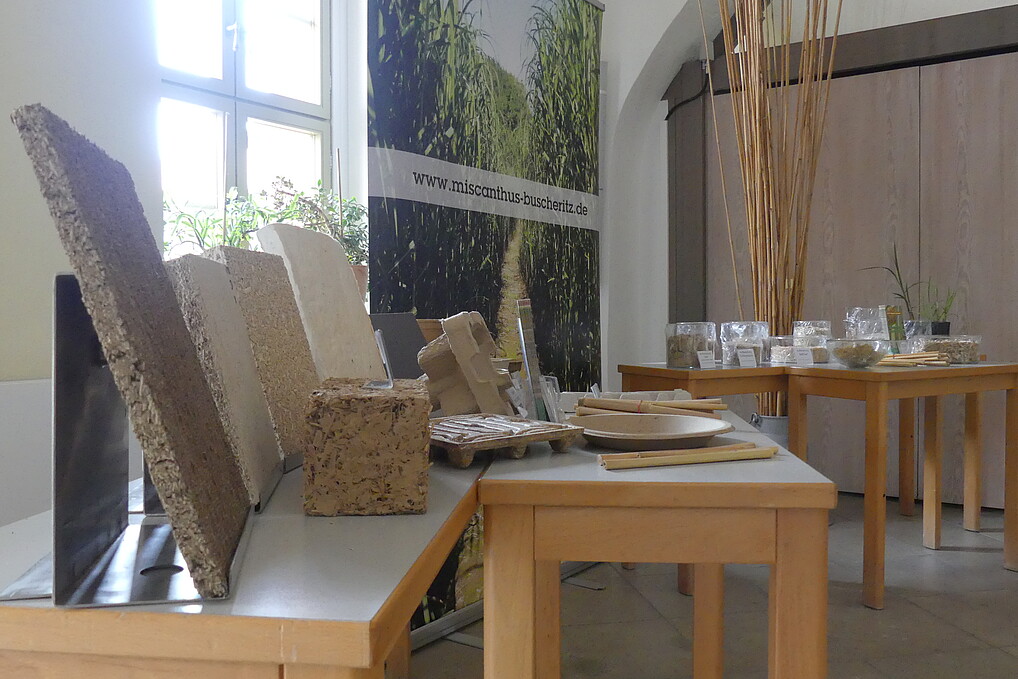 Ausstellungsstand des Unternehmens Miscanthus Buscheritz