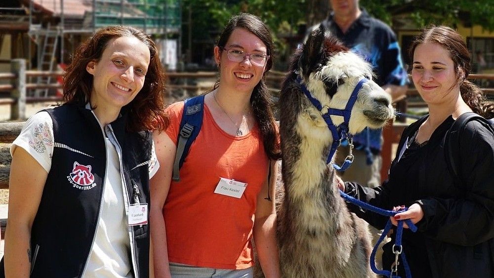 Zwei Studentinnen stehen mit einer Zoopädagogin im Alpakagehege im Tierpark Görlitz und streicheln ein Alpaka namens Shrek.