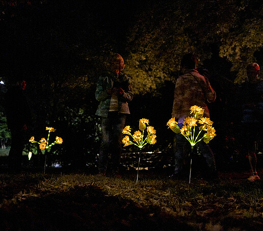 Leuchtende Kunstblumen leuchten gelb auf einer Wiese im Dunkeln.